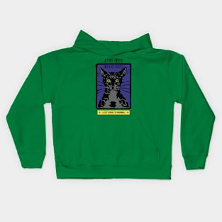 A Cat's Guide to Insomnia Kids Hoodie